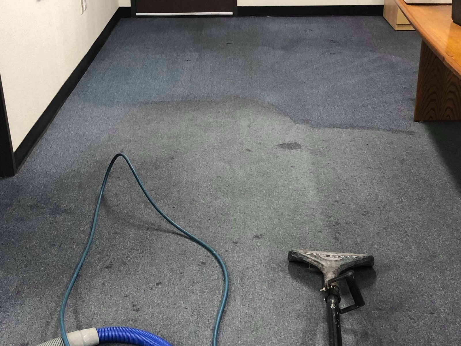 Professional carpet cleaning in a Los Angeles home