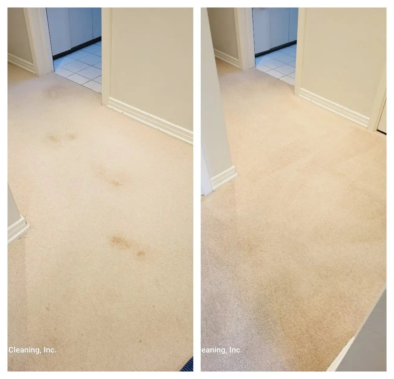 Truck-mounted carpet steam cleaning in a home